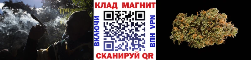 Купить закладку Гашиш  Cocaine  Псилоцибиновые грибы  МАРИХУАНА  МЕФ  Волгоград