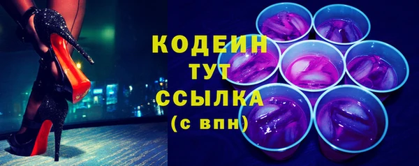 амф Новозыбков