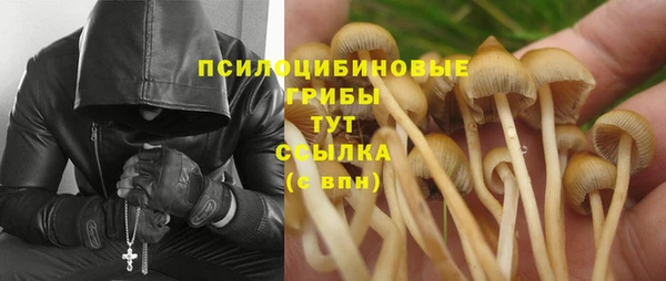 PSILOCYBIN Нефтегорск
