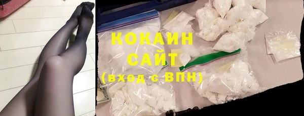 амф Новозыбков
