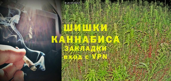 амф Новозыбков