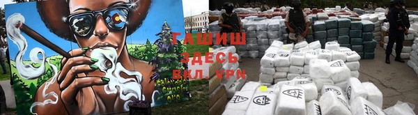 амф Новозыбков