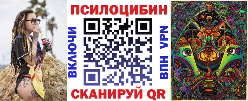 Купить где Волгоград Псилоцибиновые грибы Psilocybine cubensis